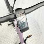 artpic public l 4499222