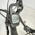 artpic public l 4068156