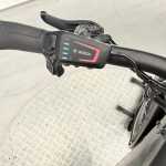 artpic public l 4559034