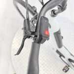 artpic public l 4582102