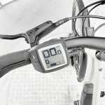 artpic public l 4597348