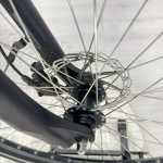 artpic public l 4596608