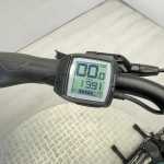 artpic public l 4596588