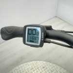 artpic public l 4596966