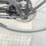 artpic public l 4603834