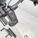 artpic public l 4608272