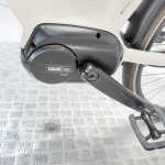 artpic public l 4614326