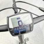 artpic public l 4619552