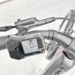 artpic public l 4631894