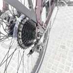 artpic public l 4631886