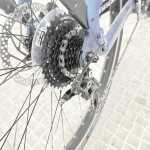 artpic public l 4631972